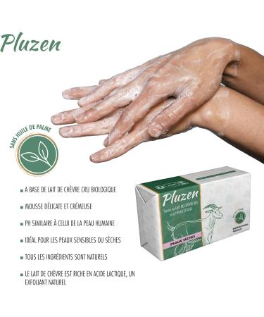 Handmade soap with organic goat's milk. Made in France (Vend e). Enriched with shea butter. Mask for sensitive and dry skin. 100 gr Face and body - Buy Online on GoSupps.com