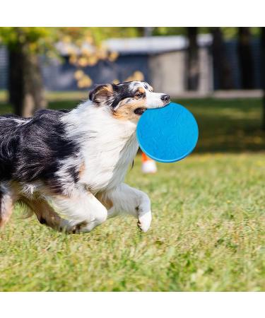 Buy Bite-Proof Dog Frisbee | 18 cm Natural Rubber Flying Disc | Ideal for Training Throwing & Water Play - Buy Online on GoSupps.com