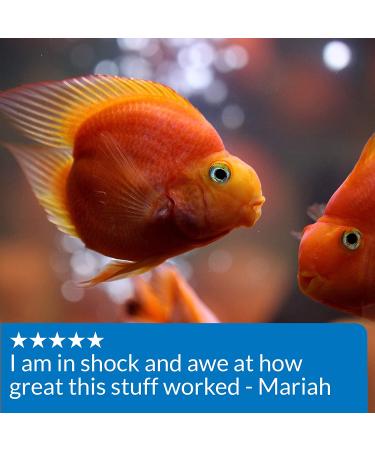 API MELAFIX - Effective Freshwater Fish Healing Remedy | 8oz - Buy Online on GoSupps.com