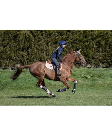 LeMieux ProShell Brushing Horse Boots - Large Black Carbon Air Xc - Buy Online on GoSupps.com