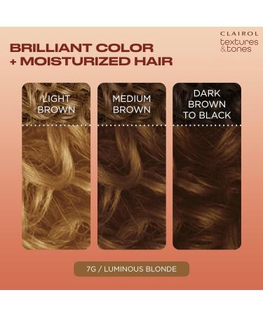 Clairol Professional Texture and Tones 1 oz Luminous Blonde Hair Color - Fade Resistant Dye - Buy Online on GoSupps.com