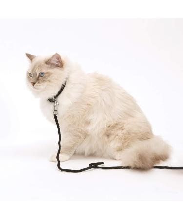 Catit Nylon Cat Tie-Out 15-Feet Black - Buy Online on GoSupps.com