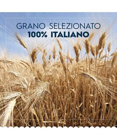  Barilla Barilla Penne Rigate Integrali 100% Italian Solid Grain Pasta 500g (Pack of 10) - Buy Online on GoSupps.com