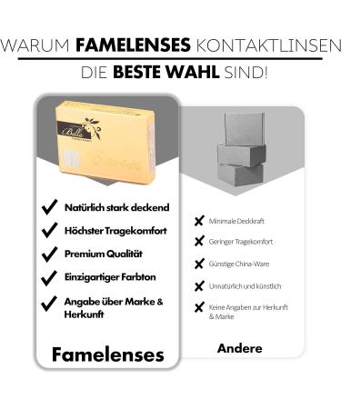 Shop Bella Elite Mint Gray Colored Contact Lenses - Monthly - Perfect for Dark Eyes - Dioptria -0.00 - Buy Online on GoSupps.com