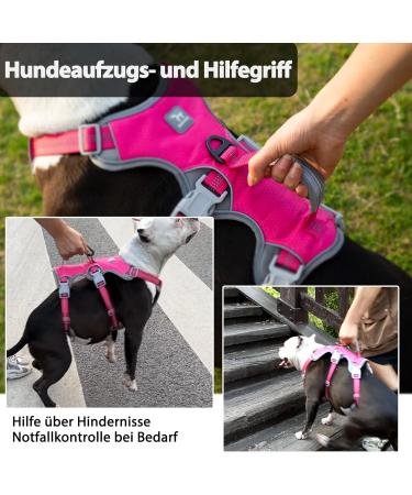 Huntboo Reflective Dog Harness & Dishes - Padded Waterproof Adjustable Vest for Large Dogs (Rose Red L) - Perfect for Walks & Racing - Buy Online on GoSupps.com