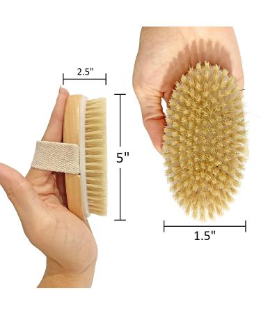 Spiffy Skin Wet & Dry Body Brush Exfoliator - Medium Soft Natural Bristle - Exfoliates Dead Skin, Slows Aging, Reduces Cellulite, Stimulates Blood Flow for Energy - Buy Online on GoSupps.com