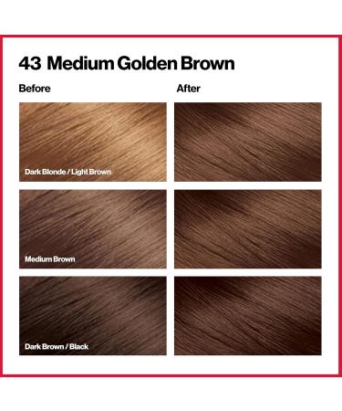 Revlon Colorsilk Haircolor Medium Golden Brown 2.4 Ounces by Revlon - Buy Online on GoSupps.com