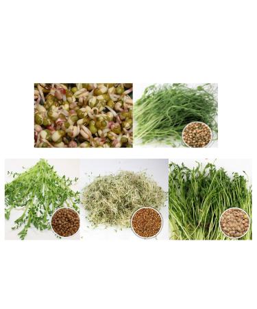 500 g organic germs mixing pans mix -germ seed 5 x 100 g seeds for the blundersantie mung beans alfalfa peas lentils chickpeas sprouts microgrreen microgr n