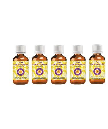 d ve herbes Pure Chaulmoogra Oil (Hydnocarpus wightiana) 100% Natural Therapeutic Grade Cold Pressed (Pack of Five) 100ml X 5 (16.9 oz)