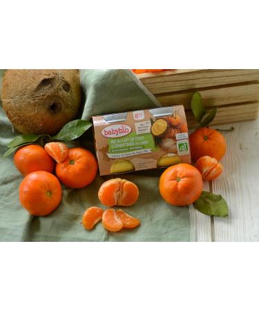 BABYBIO - Small Jars Coconut Milk Clementines from Corsica - ORGANIC - 8+ months - 2x130g - Pack of 6 - Buy Online on GoSupps.com