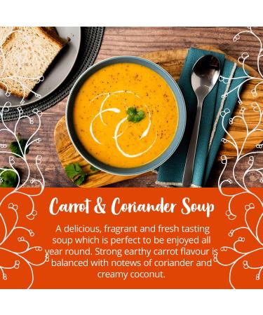 Bay's Kitchen Low Fodmap Soups - Carrot & Coriander 3 pack of ready to heat Soups Gluten-free Vegan-friendly and Dairy-free - Buy Online on GoSupps.com