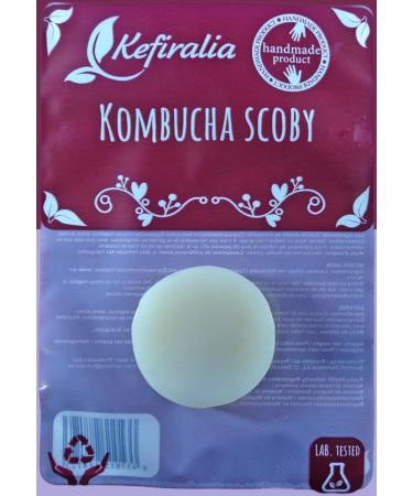 Kombucha Pilz / Scoby + Anleitung + Rezepte + Tipps - KEFIRALIA | Internationaler Versand - Buy Online on GoSupps.com