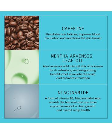 Nioxin System 3 Scalp Care Hair Thickening Leave In Treatment For Colored & Damaged Hair with Light Thinning Strengthen & Nourish with Niacinamide & Biotin - 6.7 Oz - Buy Online on GoSupps.com