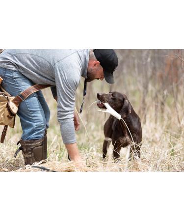 DogBone Shed Dog Training System - Train Your Dog to Find Sheds - Buy Online on GoSupps.com