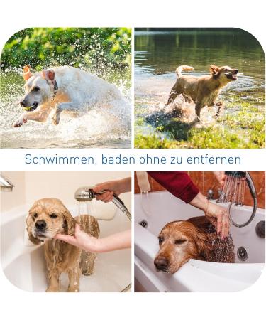 Dewel Tick Collar for Large Dogs & Cats | Natural Waterproof Anti-Flea & Tick Protection | Adjustable 63.5cm Collar Against Fleas Mites & Lice - Buy Online on GoSupps.com