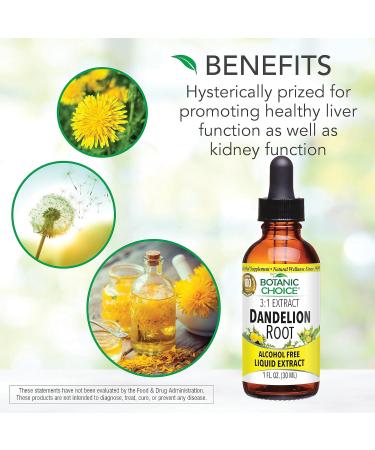 Botanic Choice Dandelion Root Extract - Alcohol-Free Liver Health Support Detox & Digestive Aid - 1 oz - Buy Online on GoSupps.com