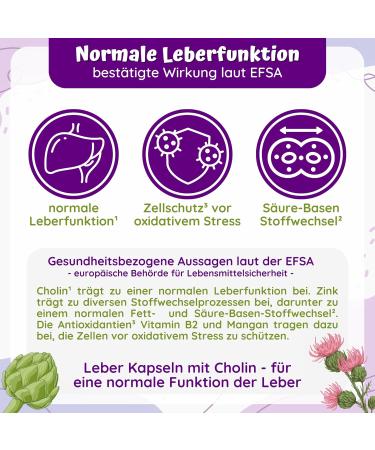 LOODUS Leberkur Capsules - Vegan Liver Support Complex with Dandelion Artichoke & Choline - 42 Highly-Dosed Serving Size for Optimal Liver Health - Buy Online on GoSupps.com