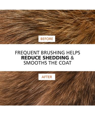 Wahl Premium Pet Double Sided Pin Bristle Brush - Model 858501 | Removes Loose Hair, Stimulates Skin, Creates Soft Coat Shine - Buy Online on GoSupps.com
