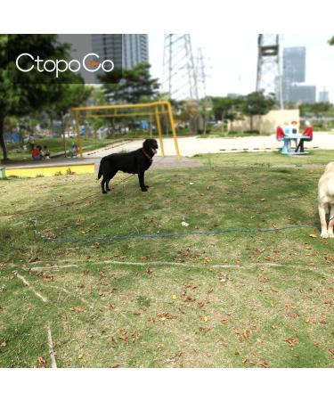 CTOPOGO Heavy Duty Dog Tie Out Cables - 10FT 16FT 33FT for Dogs Up to 125 lbs - Durable Pet Lead for Small & Medium Dogs - 10m Red - Buy Online on GoSupps.com