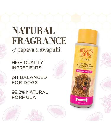 Burt's Bees 2-in-1 Dog Shampoo & Conditioner with Papaya & Awapuhi | Deodorizing Spray | Dog Bathing Supplies - 8 oz - Buy Online on GoSupps.com