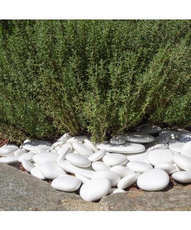 Kalapanta Recycled Plastic Decoration Stones for Vases Aquariums & Gardens - White 5-8 cm Set of 45 Pieces - Buy Online on GoSupps.com