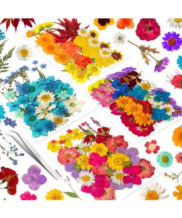 141PCS Real Nature Dried Pressed Flowers for Resin Mold  Dry Pressing Floral Set for DIY Jewelry Making Nail Card Scrapbook Art Craft Decors Blossom