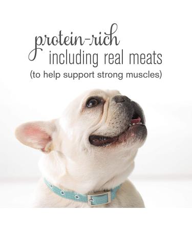 Purina Bella Wet Dog Food - Grilled Chicken in Savory Juices - 12 Pack of 3.5 oz. Trays - Buy Online on GoSupps.com