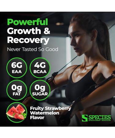 Species Nutrition Amino Evolved EAA & BCAA Powder - Fermented Amino Acids for Muscle Recovery & Endurance | Strawberry Watermelon - 30 Servings - Pre & Post Workout Supplement - Buy Online on GoSupps.com