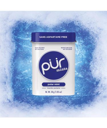 PUR Gum | Aspartame Free Chewing Gum | 100% Xylitol | Natural Spearmint Flavoured Gum 55 Pieces & Aspartame Free Mints | Made with Xylitol | Sugar Free Vegan Gluten Free & Keto Friendly Spearmint+ Polar Mint 55 count (Pack of 3) - Buy Online on GoSupps.com
