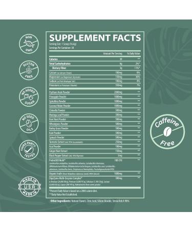 Nutrition Daily Super Greens & Electrolytes Powder Gut Health Hydration Energy & Bloating Relief Spirulina Chlorella Pre & Probiotics Digestive Enzymes Fiber Sugar Free 30 SVG Green Tea Lemonade 1.1 Pound (Pack  - Buy Online on GoSupps.com