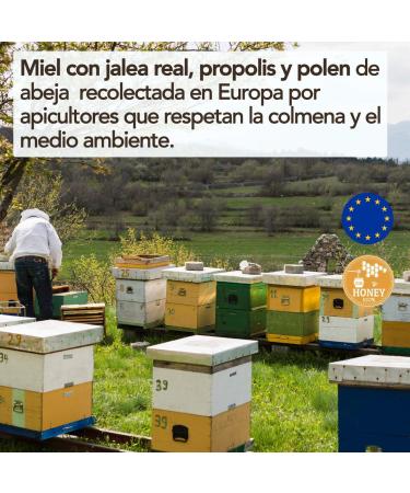 Honey fresh royal jelly and pollen x 250 g. Morning booster Propolis the best bio-stimulator for the body. - Buy Online on GoSupps.com