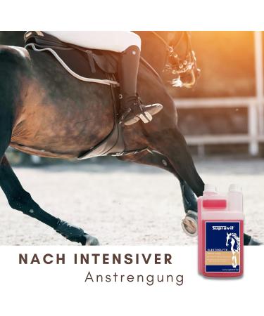 Supravit Electrolytes for Horses | 1000ml Dosing Bottle | Supports Hydration & Recovery from Sweating Diarrhea & Electrolyte Loss - Shop Internationally - Buy Online on GoSupps.com