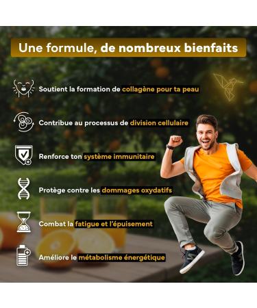 Vitamine C 1000 mg avec Zinc + Bioflavono des & glantier 180 comprim s Formule 100% v g tale Soutien immunitaire & protection antioxydante Sevens - Buy Online on GoSupps.com