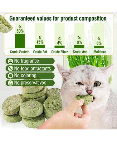90g Cat Grass Treats Cat Grass Teething Stick for Hairball Remove and Teeth Cleaning Edible Cat Grass Stick Snack - Buy Online on GoSupps.com