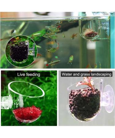 Buy PIZSIEAT 8-Piece Aquarium Plants Set | Suction Cup Decorative Glass Pots for Mini Fish Tanks & Aquatic Landscapes - Buy Online on GoSupps.com