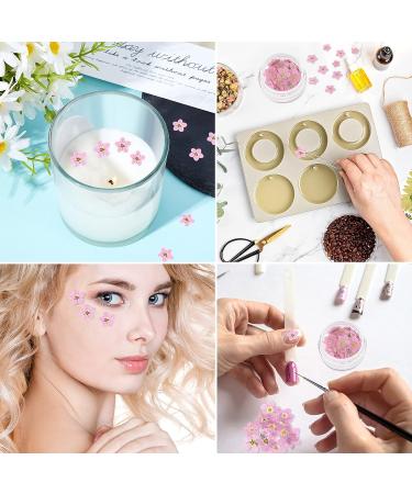 Timtin 100 Pcs Natural Forget Me Dried Flowers for DIY Jewelry, Candle, and Card Making - Real Pressed Flowers for Resin Ornaments and Nail Art Decorations (Pink) - Buy Online on GoSupps.com