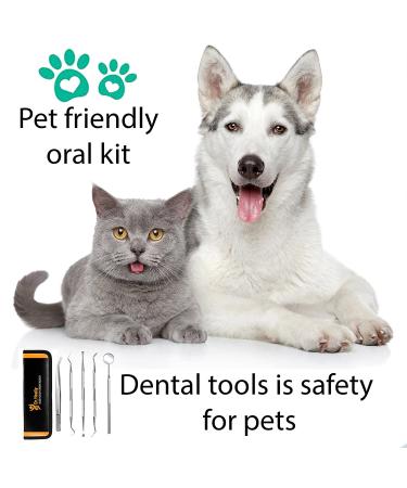 Dental Plaque and Tartar Removal Tool Kit - Professional Stainless Steel Hygiene Instruments for Dental Care - Buy Online on GoSupps.com