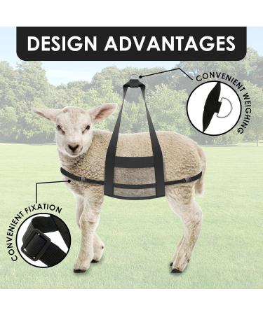 DJAPWPX 2 Pcs Calf Sling for Weighing Animals Livestock Sling with Adjustable Auxiliary Strap Lamb Weight Sling with Metal D Ring Animal Weight Sling for Newborn Calves Lambs - Buy Online on GoSupps.com