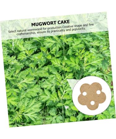 TOVINANNA 40 STK MOXA Cake - Heat Therapy Moxa Blocks for Moxibustion | Traditional Chinese Medicine Tool | Flower Shape Moxa Stick & Mat - Buy Online on GoSupps.com