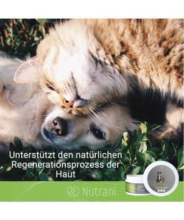Nutrani Zinc Ointment for Dogs Cats & Horses - 200ml Nursing Wound Care for Eczema & Skin Irritation - Buy Online on GoSupps.com