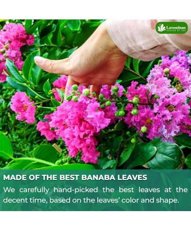 Lavendium Premium 40 Banaba Leaf Tea Bags 100% Natural & Pure from Banaba Leaves. Loose Leaf Banaba Herbal Tea. Made with Natural Tea Bags No Sugar No Caffeine No Gluten Vegan. - Buy Online on GoSupps.com