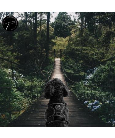 Reflective Dog Harness for Small & Medium Dogs - Nylon Breathable Mesh - Ideal for Training Puppies - Size M (Black) - Buy Online on GoSupps.com