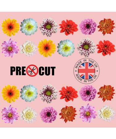 24 x Precut Dahlia Flower Edible Wafer Paper 2D Floral Cupcake Topper Decoration For Cakes - Buy Online on GoSupps.com