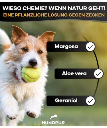 Hundpur Tick Tincture 50ml - Natural Tick & Insect Repellent for Dogs - Essential Oils Against Ticks Fleas Mites & Mosquitoes - Made in Germany - Buy Online on GoSupps.com