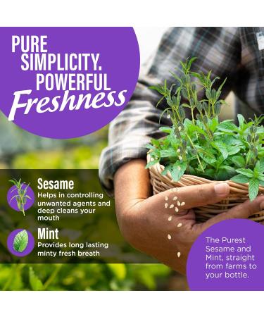 GuruNanda Sesame Mint Oil Pulling Mouthwash for Gentle & Natural Oral Care Pure Sesame & Mint Extracts Supports Happy Gums & Oral Hygiene Alcohol-Free 8 Oz - Buy Online on GoSupps.com