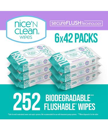 Nice 'N Clean SecureFLUSH Adult Flushable Wipes with Aloe & Vitamin E | 42 Count x 6 Packs - Buy Online on GoSupps.com