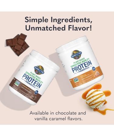 Garden of Life Plant-Based Sprouted Barley Protein Chocolate with 21g Protein 0g Sugar & Clean Ingredients Upcycled Barley Probiotics Non-GMO use in Shakes Smoothies & Baking 20 Servings - Buy Online on GoSupps.com