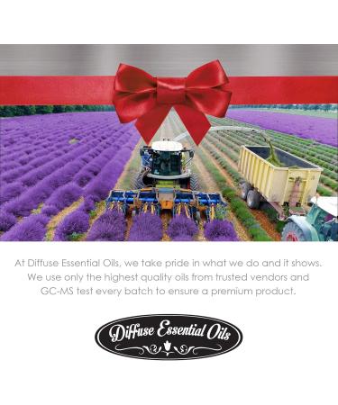 Galbanum Essential Oil 10ml | Aromatherapy Oils | 0.33 Fl Oz - Shop Internationally - Buy Online on GoSupps.com