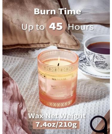 M&SENSE Rose Ivy Candle - Scented Soy Candle Gifts for Women | 45 Hour Slow Burning Aromatherapy | Luxury Home Decor & Stress Relief | Perfect Valentines Day Gifts for Her - Buy Online on GoSupps.com