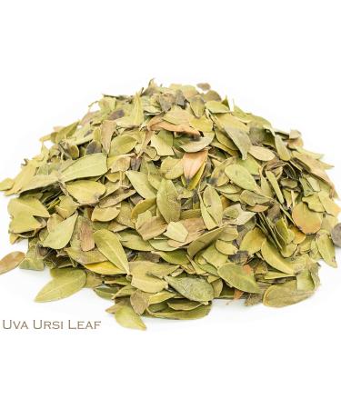 Uva Ursi Leaf and Lapacho Herbal Infusion (25 Unbleached Tea Bags - 50g) - Buy Online on GoSupps.com